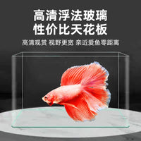 Bent Glass Aquarium Fish Tank for Betta Goldfish Desktop Living Room