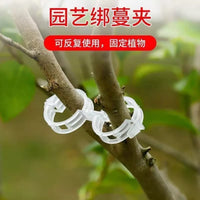 Plant Vine Clips for Garden Support, Trellis, and Seedling Fixing