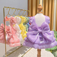 Pet Wedding Dress with Leash Ring for Small Dogs and Cats, Teddy, Bichon, French Bulldog, Spring/Summer