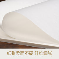 Anhui Xuan Paper for Calligraphy and Painting - Raw, Semi-Raw, and Sized Xuan Paper for Practice
