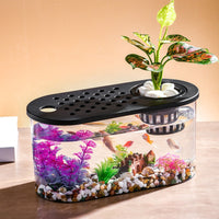 Desktop Oval Aquarium for Turtles and Fish with Hydroponic/Soil Cultivation Options