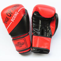 Kids & Adult Boxing Training Set with Gloves, Focus Mitts, and Kick Pads for Combat Sports