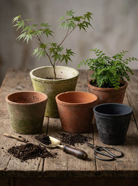 Terracotta Clay Planter Pot for Succulents and Orchids, Breathable Vintage Style