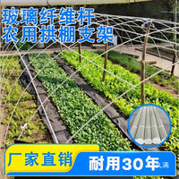 Fiberglass Greenhouse Hoops for Garden Tunnels and Plant Support