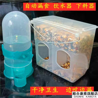 Anti-Scatter Poultry Feeder for Chickens, Pigeons, and Birds - Large Rectangular Food Trough