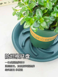 Breathable Resin Plant Pot Saucer with Drainage, Round Base for Potted Plants, Prevents Root Rot