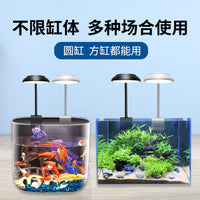 USB LED Aquarium Light for Freshwater and Saltwater Tanks, Clip-on Plant Grow Light