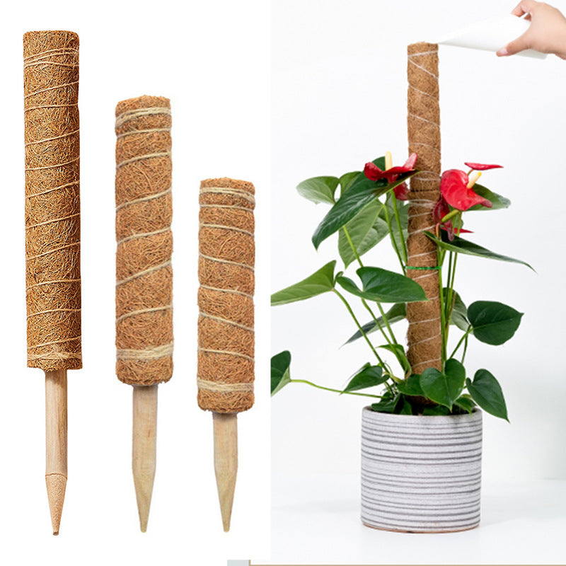 Coir Moss Pole for Climbing Plants, Plant Support Stake for Potted Plants, Extendable Coir Totem Pole for Indoor Plants
