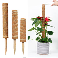 Coir Moss Pole for Climbing Plants, Plant Support Stake for Potted Plants, Extendable Coir Totem Pole for Indoor Plants