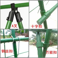 Garden Plant Support Stakes and Connectors for Climbing Plants
