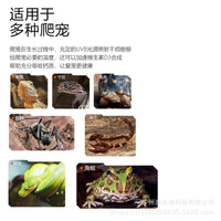 T5 UVB Reptile Light for Tortoises, Lizards, and Succulents, 8W-24W