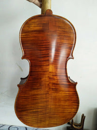 Premium 5-String Viola Cello Hybrid Instrument
