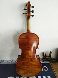 Premium 5-String Viola Cello Hybrid Instrument