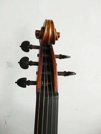 Premium 5-String Viola Cello Hybrid Instrument