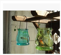 Creative Ear-Shaped Hanging Hydroponic Glass Vase for Balcony Decor