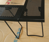 Portable Outdoor Fire Pit Table with Carry Bag for BBQ and Picnics