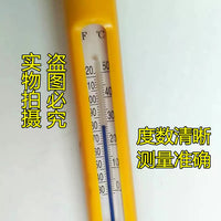 Floating Pond and Pool Thermometer for Koi and Seafood Tanks