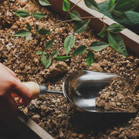 Stainless Steel Garden Tool Set for Planting and Digging - Trowel, Transplanter, Cultivator, Weeding Knife
