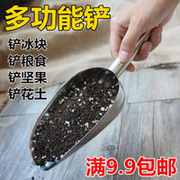 Stainless Steel Hand Shovel for Gardening and Potting