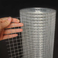 Galvanized Welded Wire Mesh Fence for Garden, Balcony, Pet Enclosures, and Rodent Protection