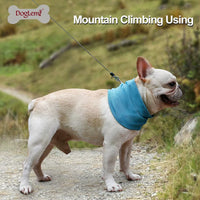 DogLemi Cooling Scarf for Dogs, Summer Heatstroke Prevention Neck Wrap