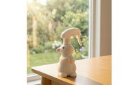 Hare Plant Charming Sprinkler Hare Spray Bottle Hand-Held Plant Misting Spray Bottle for Gardeners, Windowsill