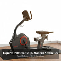 Recumbent Exercise Bike Silent Stationary Recumbent Bike Comfortable Seat Seated Cardio for Seniors, Overweight Individuals, Home