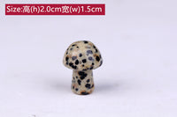 新品天然水晶矿物标本小蘑菇原石儿童教学奇石彩色石头科普摆件