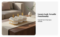 Light Luxury Design Multi-Compartment Nut Serving Platter Dust and Divided Serving Tray with Lid Removable Compartments