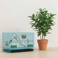 Pet Bird Cage with Accessories, Rectangular Metal Large Bird Cage for Home, Includes Bird Nest, Swing, Ladder, 2 Perches, and Easy-removable Tray