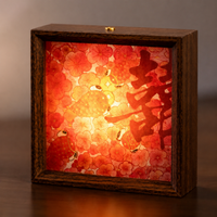 decorative light box