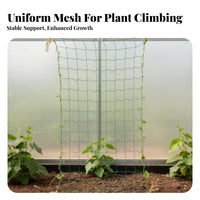 Multi-Purpose Vegetable Trellis Net Improves Air Circulation Plant Climbing Net High Strength Garden Trellis Netting Easy to Install for Gardeners, Commercial Growers, Homeowners, Farm, Greenhouse, Balcony, Grow Tents