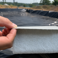 HDPE Geomembrane Sheet Composite Membrane Liner 300gsm Black White Waterproof Membrane Fabric Anti-seepage Membrane For Landfill Outdoor Pond