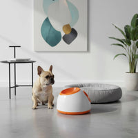 Independent Play Adjustable Dog Ball Launcher Indoor Outdoor Use Automatic Dog Ball Launcher Exercise Training Automatic Fetch Toy Portable for Dogs