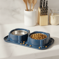 Double Cat Bowl Set with Stainless Steel Food and Water Bowls, Spill-Proof, Tilted Design for Pets
