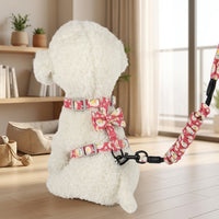 Cat Vest Harness and Leash Set, Adjustable Nylon Cat Walking Harness, No Pull Training Lead for Outdoor Travel