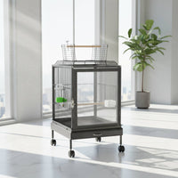 Clear Acrylic Bird Enclosure Transparent Clear Bird Enclosure Sturdy