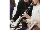Nickel Plated Keys 17 Key Clarinet Beginner Friendly B Flat Clarinet Hard Protective Case Woodwind Instrument Easy to Use for Beginners, Adults, Performance, Practice