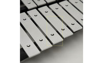 30-Note Xylophone Educational 30-Note Percussion Instrument Glockenspiel for Beginners, Home Practice