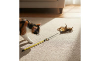 Cat Teaser Rod with Bell Interactive Play Cat Feather Teaser Steel Wire Feather Toy for Indoor