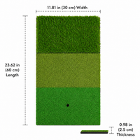 Chipping Practice Mat, Artificial Turf Mat 30x60cm, Driving Range Mat for Indoor Outdoor Sport Training, Portable EVA Foam