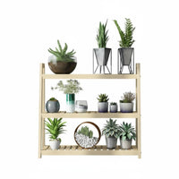 Multi-Tier Plant Stand Space-Saving Flower Rack High and Low Shelves for Desktop