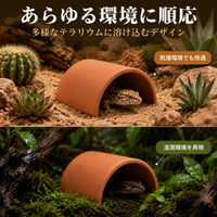 Leopard Gecko Shelter, Reptile Hideout, Wet Shelter, Terracotta, Set of 2