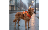 Reflective Dog Vest Harness Lightweight 2-in-1 Dog Harness Leash Get Loose-Resistant for Outdoor