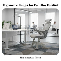 Ergonomic Design Sled Base Chair spinerest support Office Furniture Padded Seat Indoor Seating Sturdy Frame for Home Users, Students, Reception personnel, Study, Conference Room