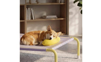 Elevated Dog Bed Easy to Clean Portable Pet Cot Bed Cooling Ventilation Moisture Proof for Indoor