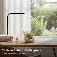 Hand Shape Air Plant Stand Minimalist Design Air Plant Display Ceramic Tillandsia Holder Simple and Elegant for Shelf, Office