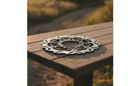 Flexibly Mounted Disc Brake Rotor Wet and Dry Flexibly Mounted Brake Rotor Fast Ventilation Hardware for Trail Riding