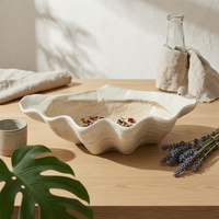Shell Tray Shallow Home Decor Decorative