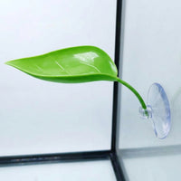 Realistic Oval Foliage Basking Ledge for Climbing Reptiles, Water-resistant Habitat with 5cm Suction Cup, Resting Spot for Tree Frogs and Reptiles